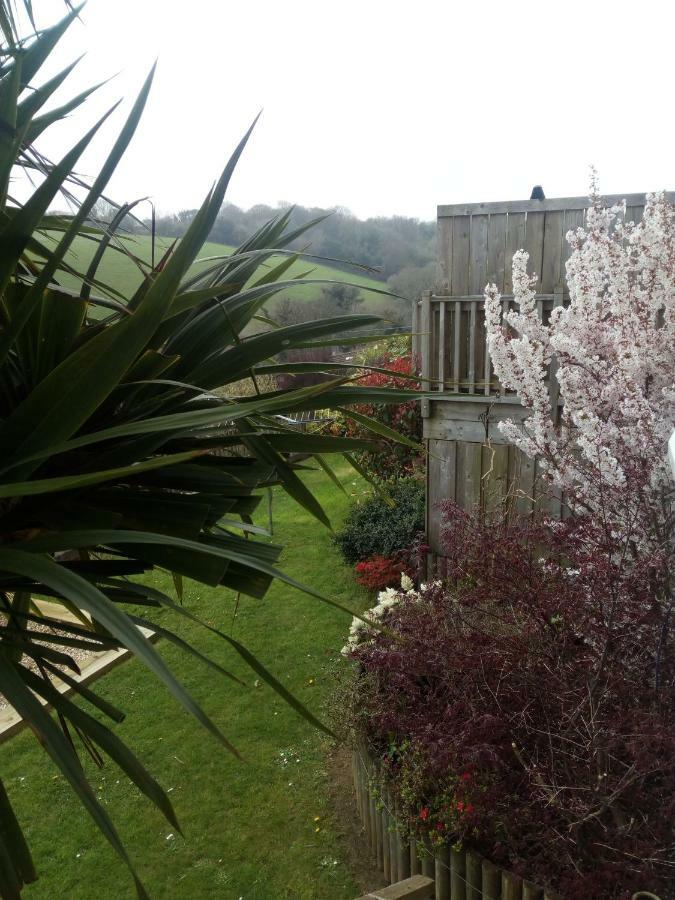 Gunnado Apartment St Austell Bagian luar foto